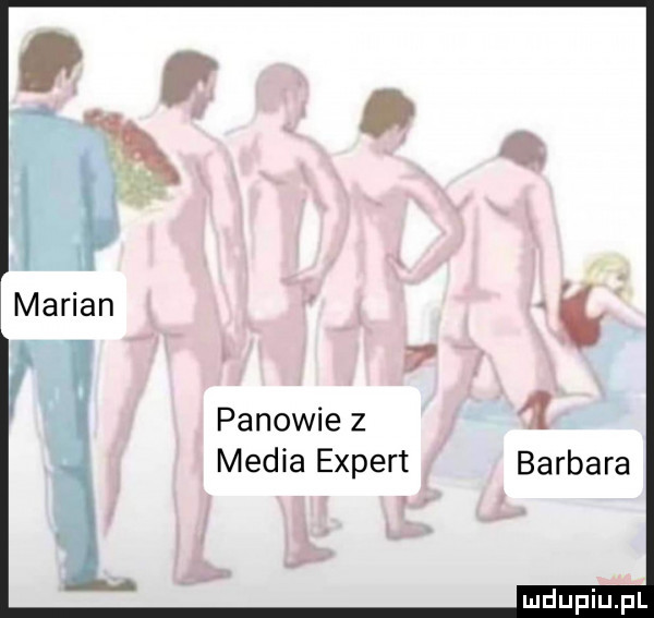 panowie   media expert barbara