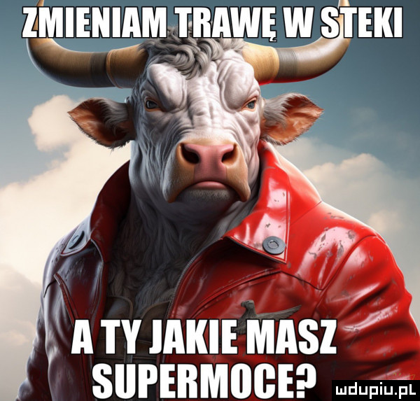 a ty jakie meszu supebmdge m