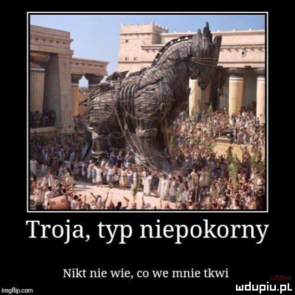 troja typ niepokorny nikt nie wie co we mnie tkwi wien n wdaniu pl