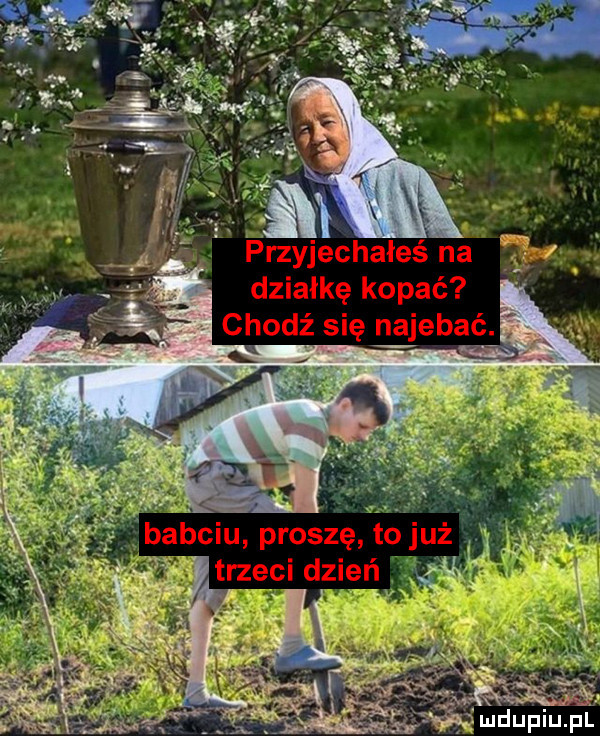 Obrazek