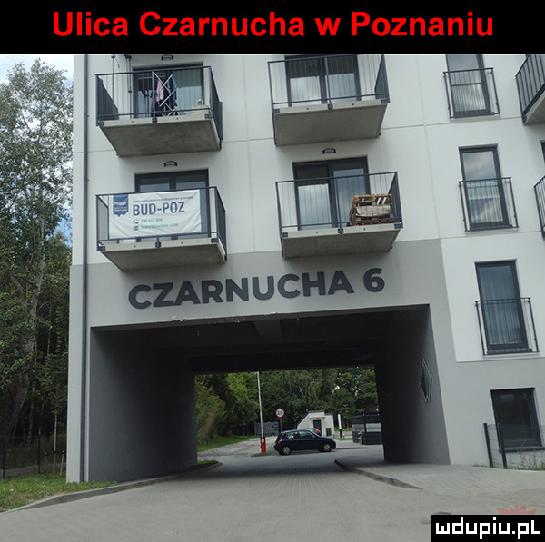 Obrazek