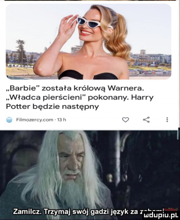 barbie została królową warnera. władca pierścieni pokonany. harry potter będzie następny um tholmcycom uh zamilcz. trzymaj swój gadzi język za bigben p