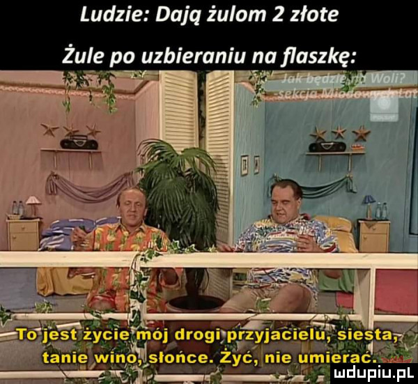 ludzie dajq żulom   złote żule po uzbieraniu na flaszkę   f