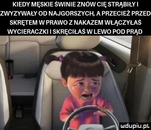 kiedy męskie świnie znów cię strąbiłyi zwyzywały od najgorszych a przecież przed skrętem w prawo z nakazem włączyłaś wycieraczki i skręciłaś w lewo pod prąd