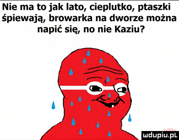 nie ma to jak lato cieplutko ptaszki śpiewają browarka na dworze można napić się no nie kaziu