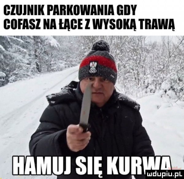 gziiinik paiikiiwaiiia giby giifasz a mae l wysoka trawa iiamiii się kemu