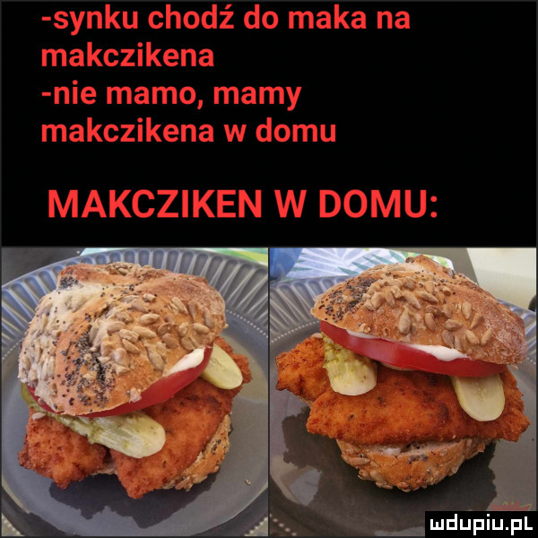 i u ﬁpiu pl