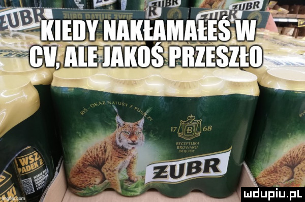 ą. w n luduwu pl