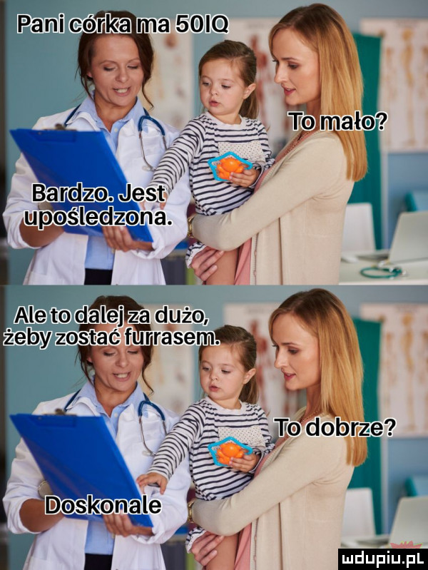 z r b   d   t a ma   iq q pani cor