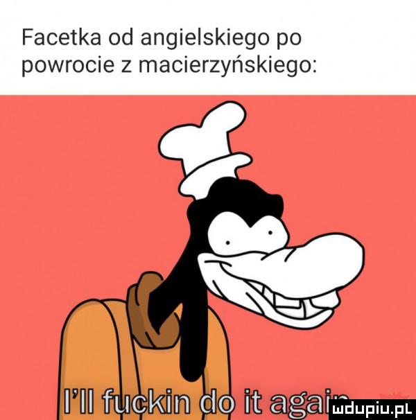 facetka od angielskiego po powrocie z macierzyńskiego
