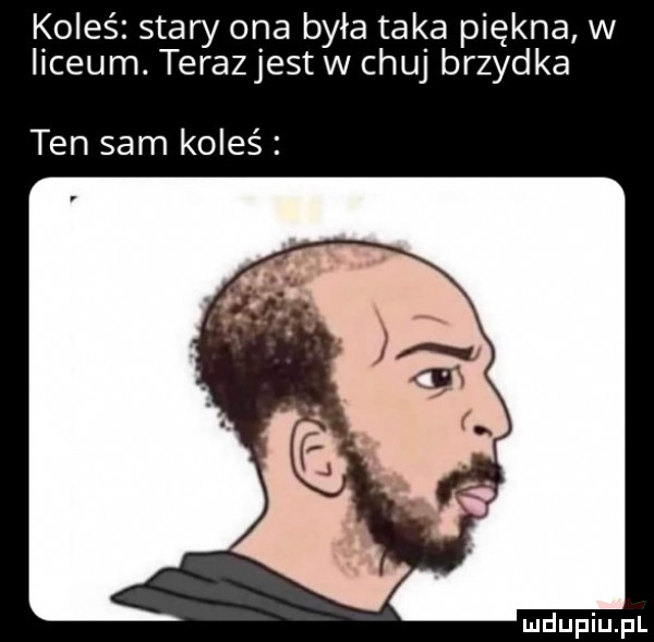 koleś stary ona była taka piękna w liceum. terazjest w chuj brzydka ten sam koleś