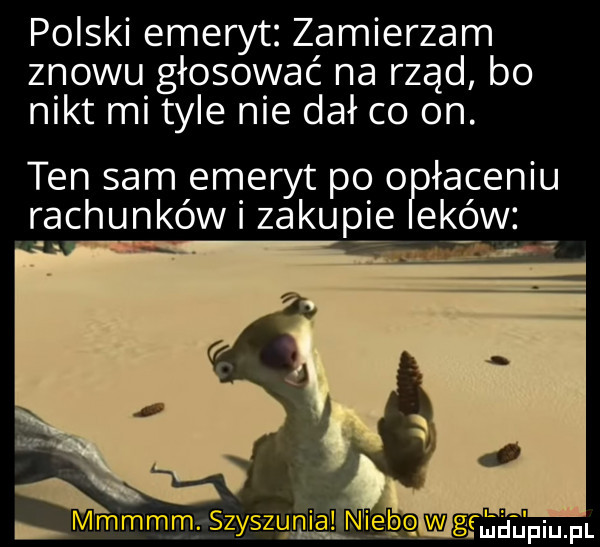 polski emeryt zamierzam znowu głosować na rząd bo nikt mi tyle nie dał co on. ten sam emeryt po   łażeniu rachunków zakupie ek ów