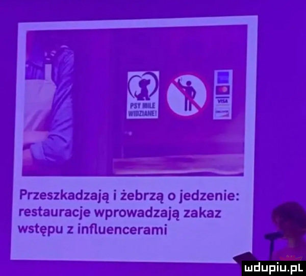 przeszkadzają i żebrzą o jedzenie restauracje wprowadzają zakaz wstępu z inﬂuencerami