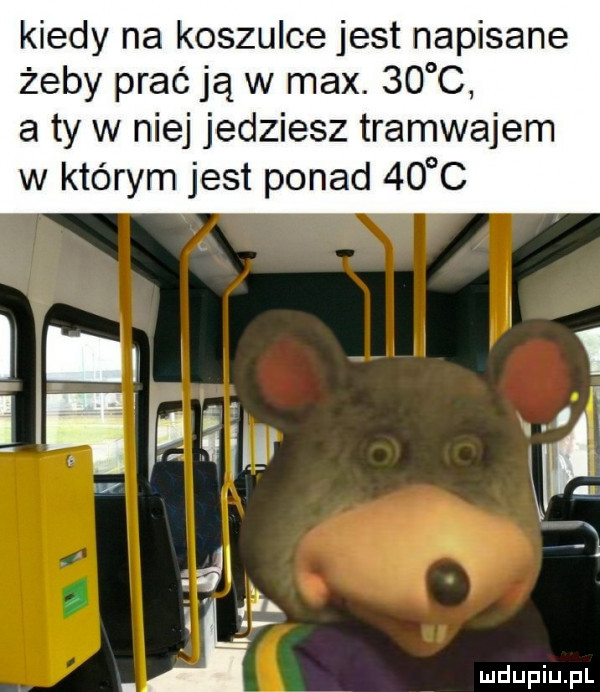 kiedy na koszulce jest napisane żeby prać ją w max.    c a ty w niej jedziesz tramwajem w którym jest ponad    c ż a
