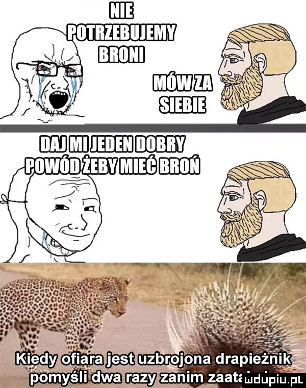 Obrazek