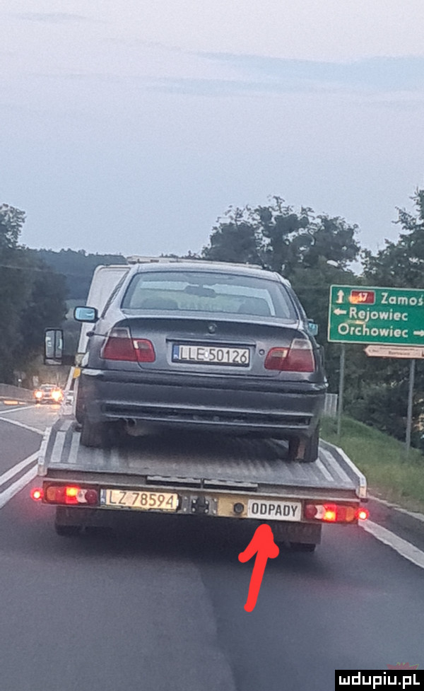 m rsiowiec orchowieę