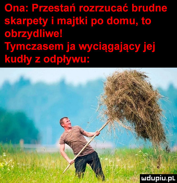Obrazek