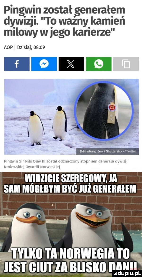 pingwin został generałem dywizji. to wazny kamień milowy w jego karierze aap dzisiaj       m w i m wal w wiilliiiie sieiieeiiwy. ia sam mńełiiym byś iiiż eeiiebałem c ix fol i. abakankami. v i y-i ii i a iiiibwegia tal iest giiit zebliskii iii