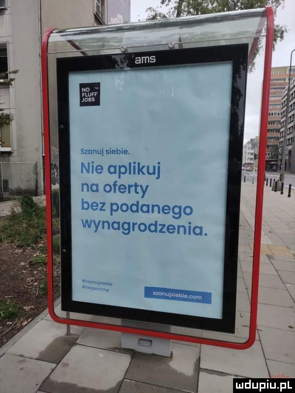 sanuj sleble. nie aplikuj no oferty bez podanego wynagrodzeniu