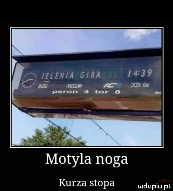 inf via gira l     w. a ma pore   nor a motyla noga kurza stopa dufqul