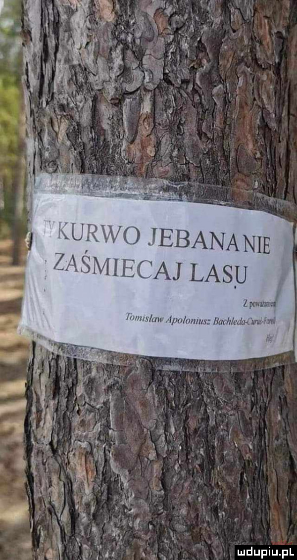 u f. sf. abakankami k i m. abakankami x t. i i. abakankami