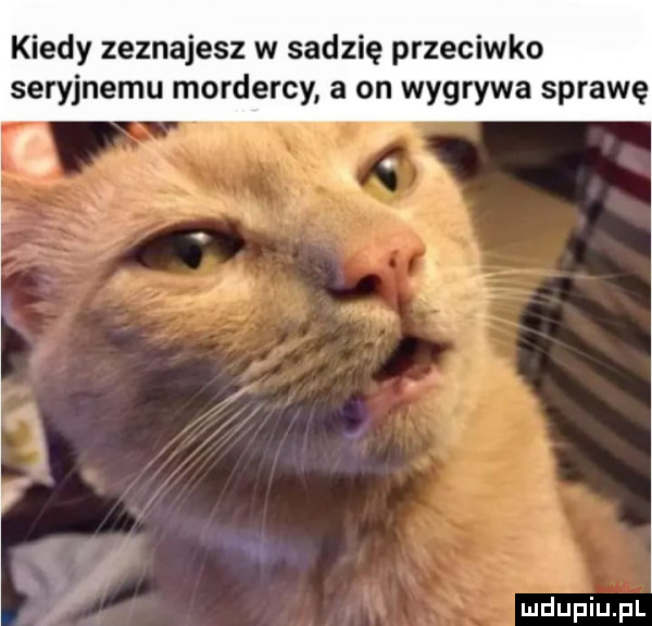 kiedy zeznajesz w sędzię przeciwko seryjnemu mordercy a on wygrywa sprawę