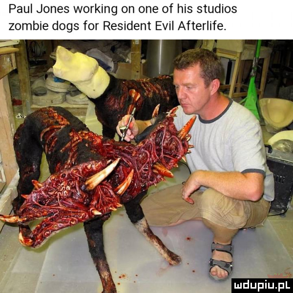 paul jones working e of his stu s zombie dogs for rewident emil afterlife mdupiijfl