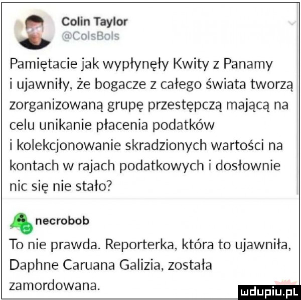 q colin taylor i   an. pamiętacie jak wypłynęły kwity z panamy i ujawniły że bogacze z całego świata tworzą zorganizowaną grupę przestępczą mającą na celu unikanie płacenia podatków i kolekcjonowanie skradzionych wartości na kontach w rajach podatkowych i dosłownie nic się nie stało ą necrobob to nie prawda. reporterka która to ujawniła daphne cardana galicia. została zamordowana. m