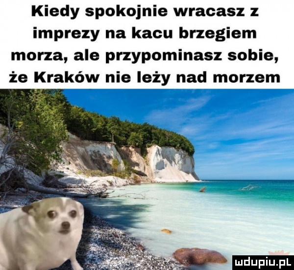 kiedy spokojnie wracasz z imprezy na kacu brzegiem morza ale przypominasz sobie że kraków nie leży nad morzem ludu iu. l