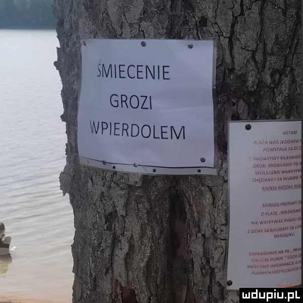 śmiecenie grozi mdupillpl