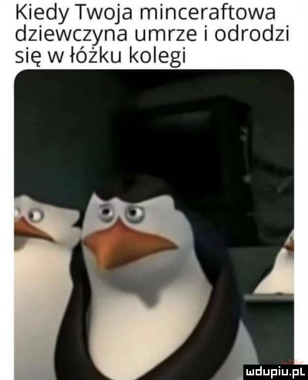 kiedy twoja minceraftowa dziewczyna umrze i odrodzi się w łóżku kolegi mdupiupl