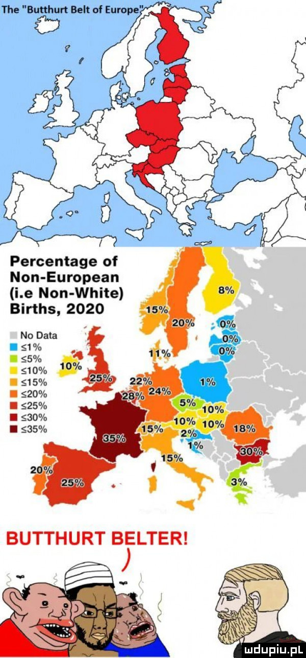 tee butthurt belt ol europe percentage of non european i e non white births      no data    n. ą