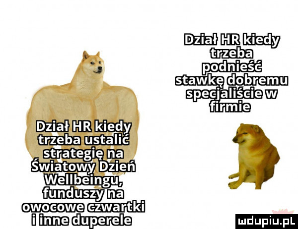 dz i ał hr kierdy trzeba ustalić nam ul