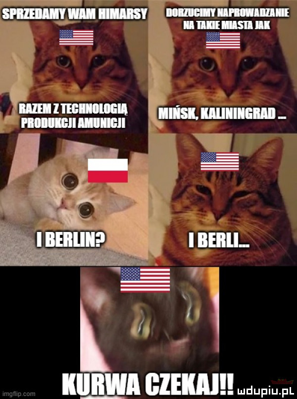 wn climl ludupiu. pl