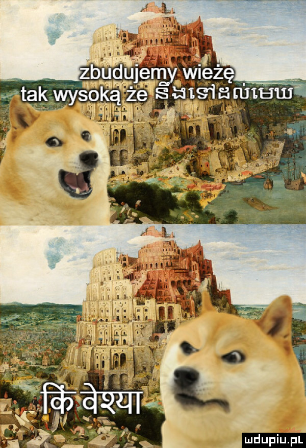 upiu pl