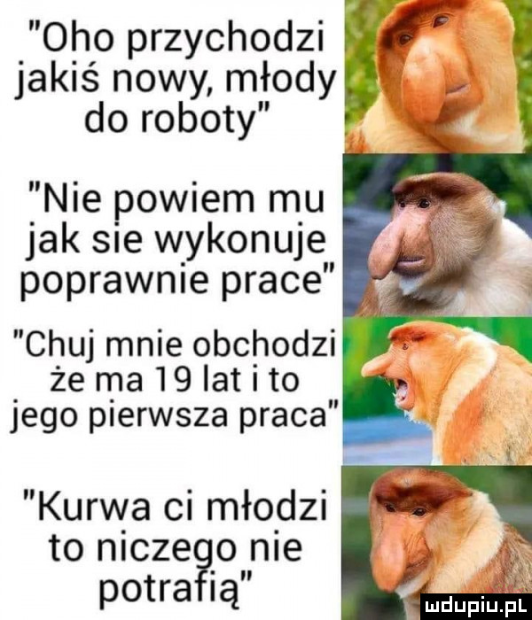 oho przychodzi jakiś nowy młody do roboty nie powiem mu jak sie wykonuje poprawnie prace chuj mnie obchodzi że ma    latito jego pierwsza praca kurwa ci młodzi to niczego nie potra i