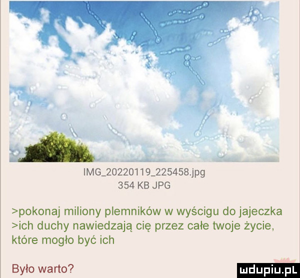 ii xx mg                 jpg     kb jpg pokonaj miliony plemników w wyścigu do jajeczka ich duchy nawiedzają cię przez całe twoje życie które mogło być ich było weno