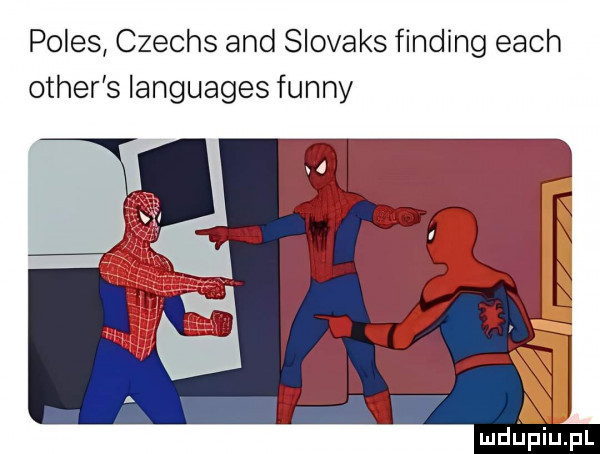 polis czechs and slovaks finding each ocher s languages finny mdﬁpiupl