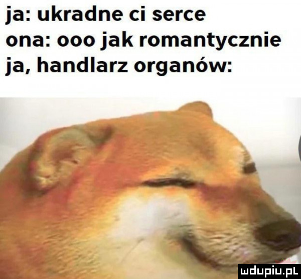 ja ukradne ci serce ona ooo jak romantycznie ja handlarz organów