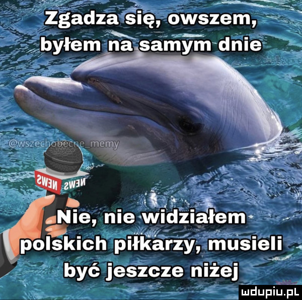 żśżdza sśię owszem był m hisańiifndnie. vi   nie nie widniałem polskich piłkarzy musieli   być jeszcze niżej