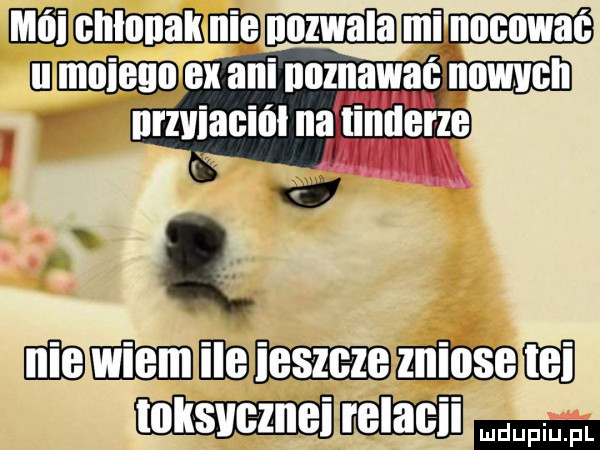 Obrazek