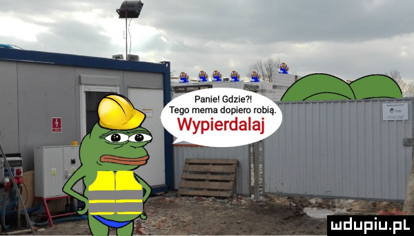 pace gdzie tega mama dupom ramą. wypierdalaj win dupiupl