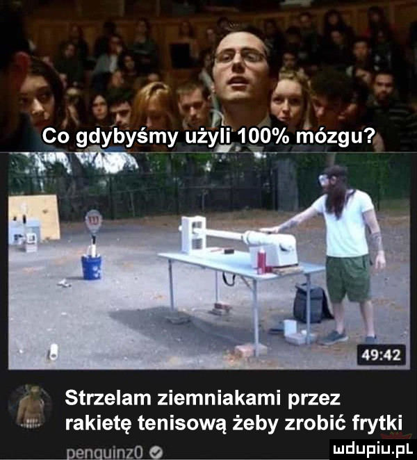 r zbp. co gdybyśmy uam      mózgu r strzelam ziemniakami przez i rakietę tenisową żeby zrobić frytki genguinząę