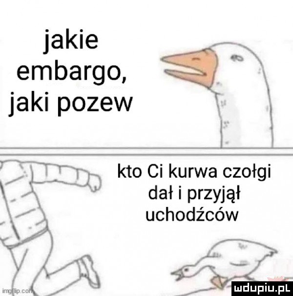 jakie embargo jaki pozew kto ci kurwa czołgi dał i przyjął. uchodźców x w x      i. i yﬁ m