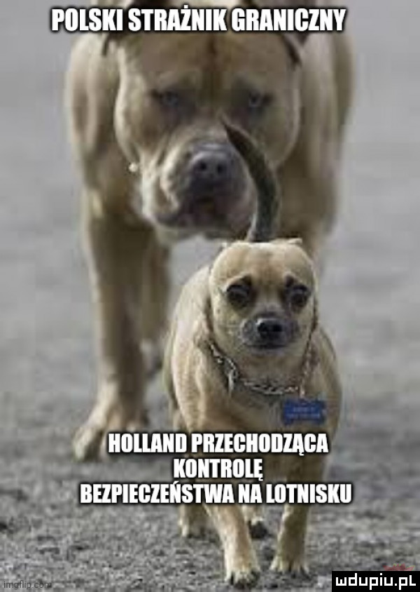 abakankami llnlllllll piiegiiiiii a a mmm. bhpiegieóstwa iii liitiiiskiiir mthiupl