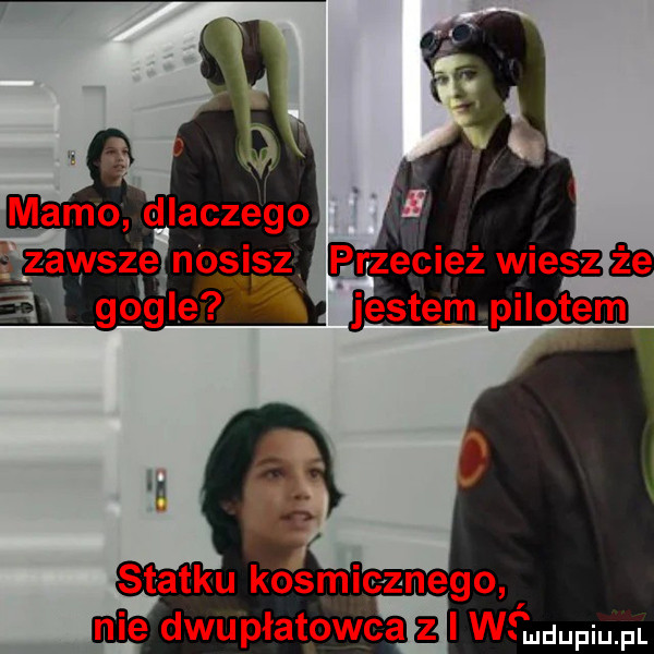 nie dwupłatowca   wśmdupiupl