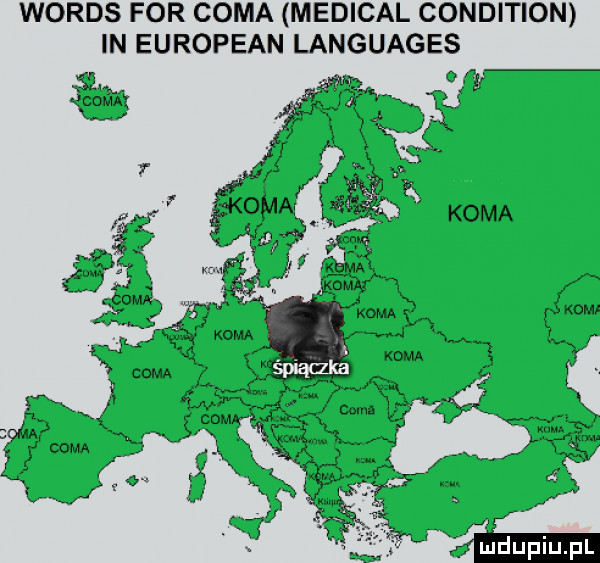 woods for csma metical condition in european languages