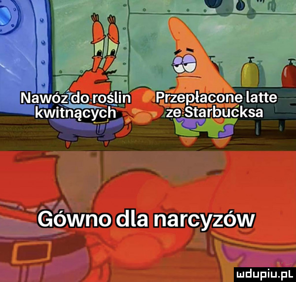 przepłacone latte zestarbucksa. abakankami ﬁe. aggwno dla narcyzow er mdupiuﬁl