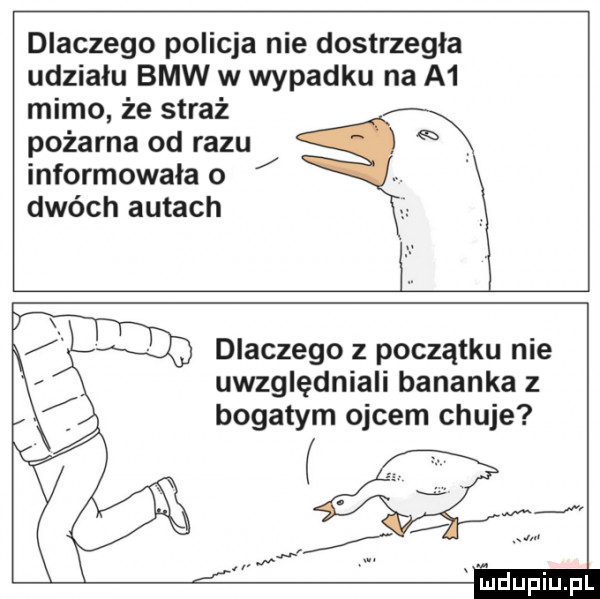 dlaczego policja nie dostrzegła udziału bmw w wypadku na a  mimo że straż pożarna od razu informowała o dwóch autach dlaczego z początku nie uwzględniali bananka z bogatym ojcem chuje ludupiu pl