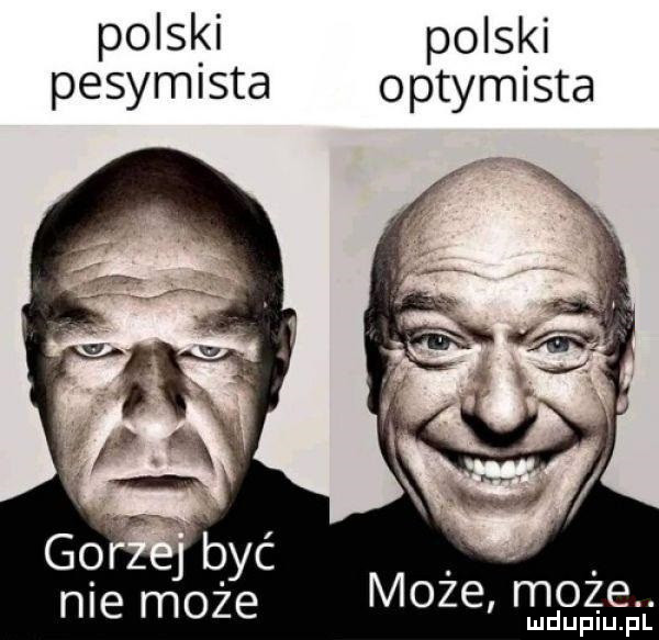 polski polski pesymista optymista nie może może może. ludupiu. pl